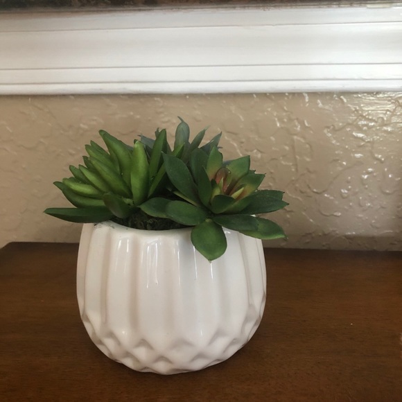 Meet your Posher, Jena - Picture 7 of 10